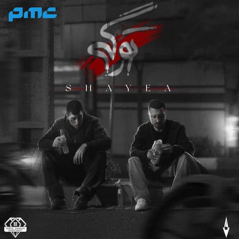 دانلود آهنگ شایع تو رگی