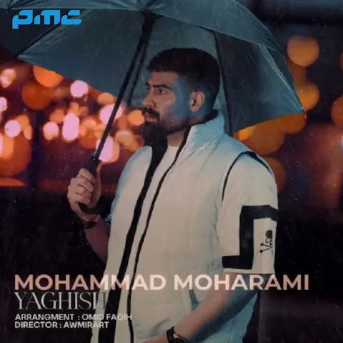 دانلود آهنگ محمد محرمی یاغیش