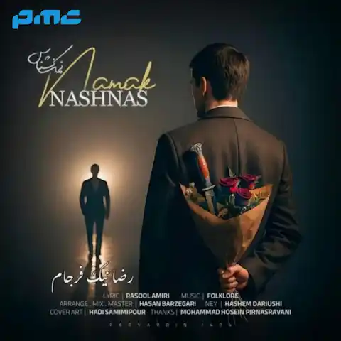 دانلود آهنگ رضا نیک فرجام نمک نشناس