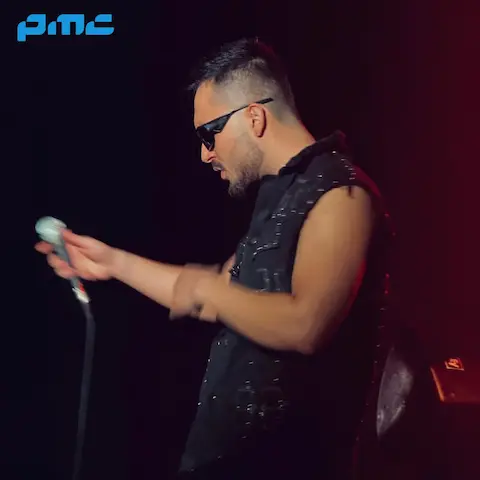 دانلود آهنگ اردلان حیف شدی