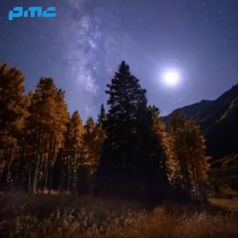 دانلود آهنگ تق تق میکرد فندکم
