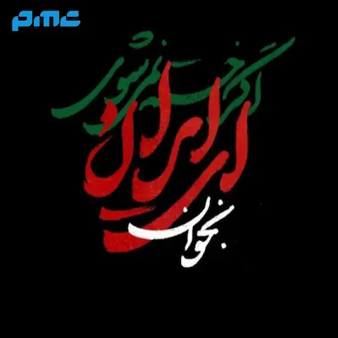 مداحی در روح و جان من میمانی ای وطن محمود کریمی