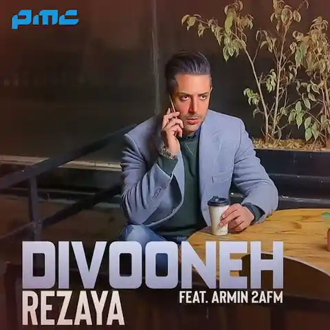 دانلود آهنگ رضایا دیوونه