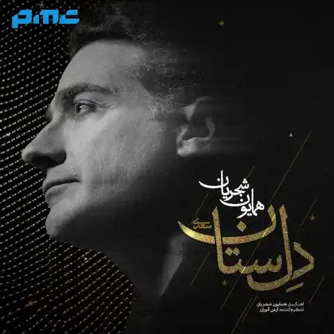 دانلود آهنگ همایون شجریان دل ستان