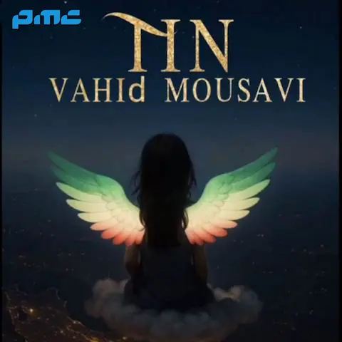 دانلود آهنگ وحید موسوی تین
