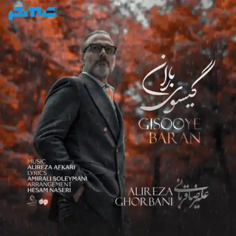 دانلود آهنگ علیرضا قربانی گیسوی باران