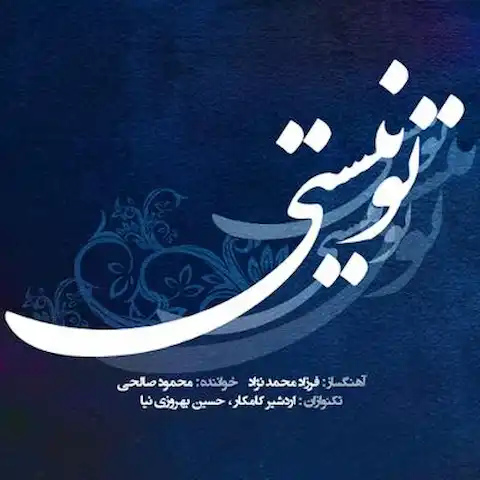 دانلود آلبوم فرزاد محمدنژاد و محمود صالحی تو نیستی