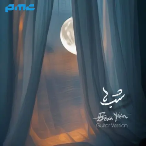 دانلود ورژن گیتار آهنگ احسان یاسین شب ها
