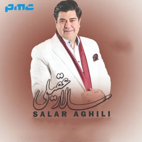 دانلود آهنگ سالار عقیلی عزیز تو بودم
