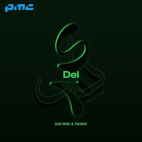 دانلود آهنگ تی ام بکس دل
