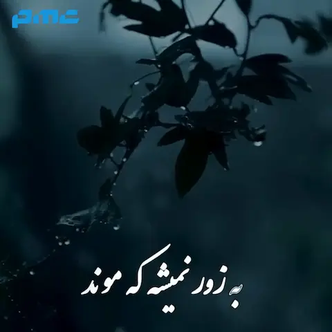 دانلود آهنگ یوسف زمانی یادت نمونده
