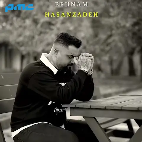 دانلود آهنگ بهنام حسن زاده شهر به شهر