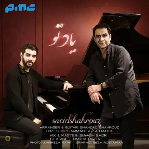 دانلود آهنگ سعید شهروز یاد تو