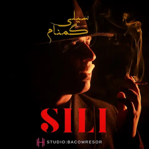 دانلود آهنگ گمنام سیلی