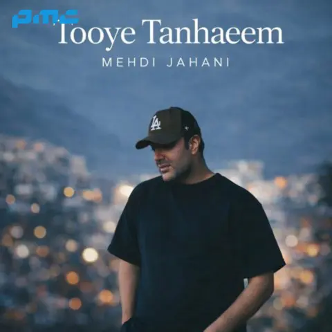 دانلود آهنگ مهدی جهانی توی تنهاییم