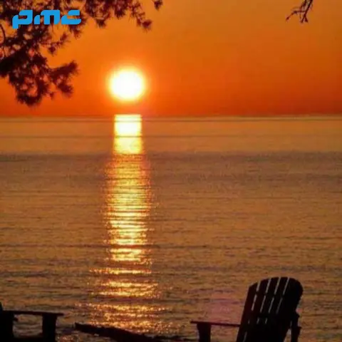 دانلود آهنگ گل منو پر پر کردن رفت