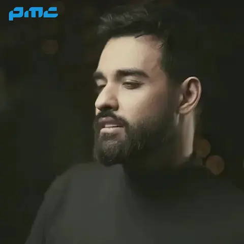 دانلود آهنگ سهیل مهرزادگان انقده دلم برات تنگ شده باور نمیکنی