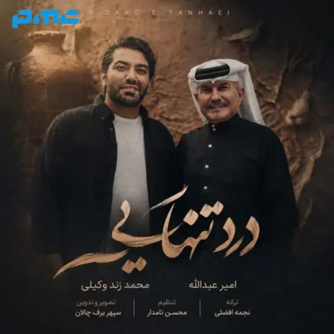 دانلود آهنگ امیر عبدالله و محمد زند وکیلی درد تنهایی