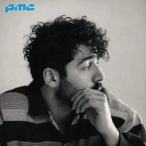 دانلود آهنگ شروین حاجی پور پتک