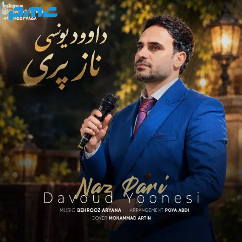 دانلود آهنگ داوود یونسی ناز پری