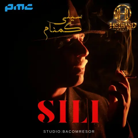 دانلود آهنگ گمنام (هیوان بند) به نام سیلی گمنام