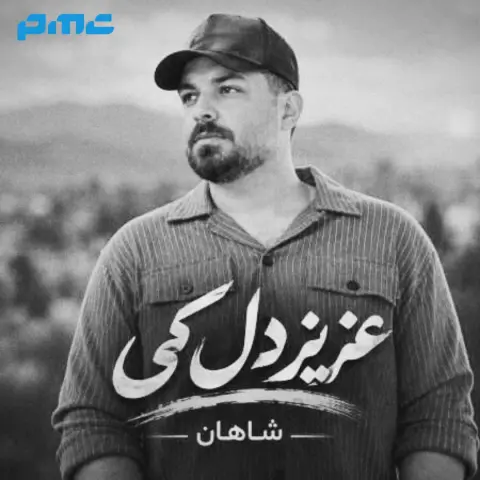دانلود آهنگ شاهان عزیز دل کی